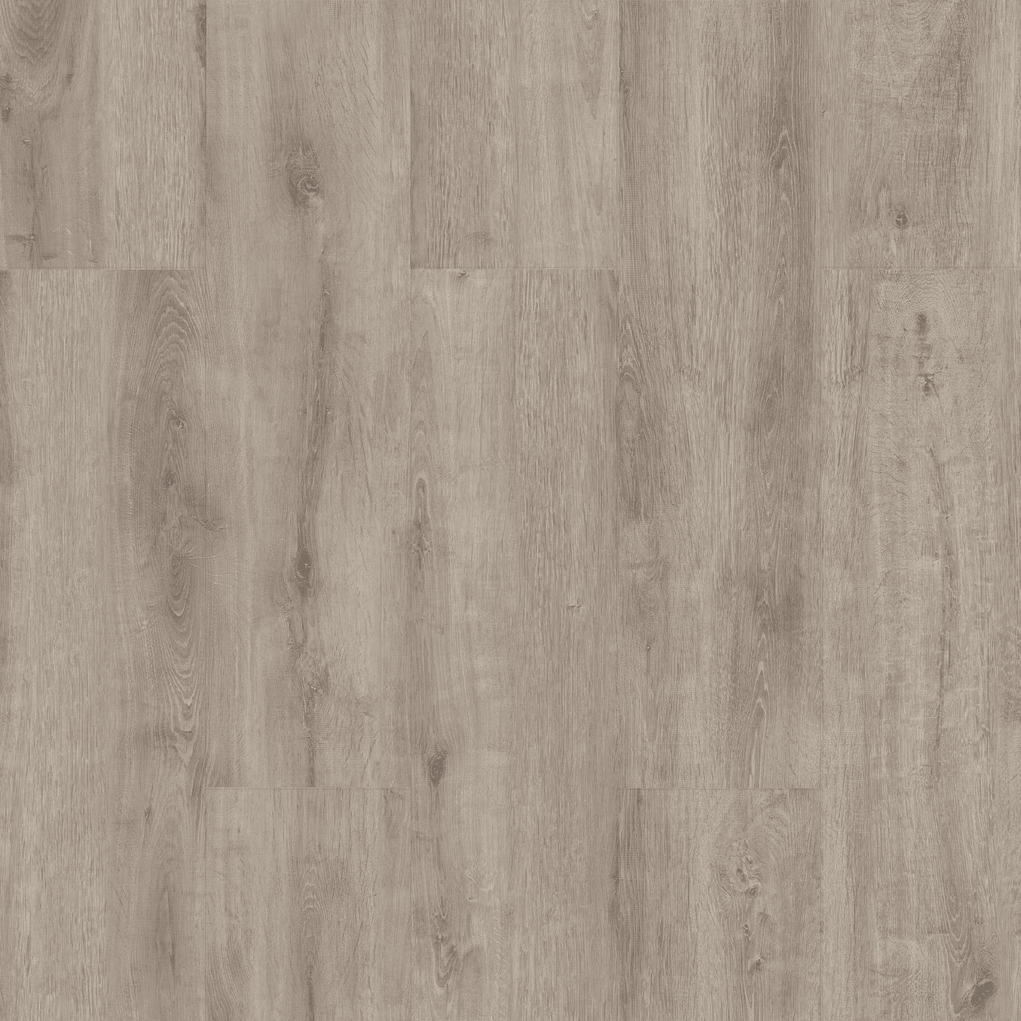Acar Oak hover