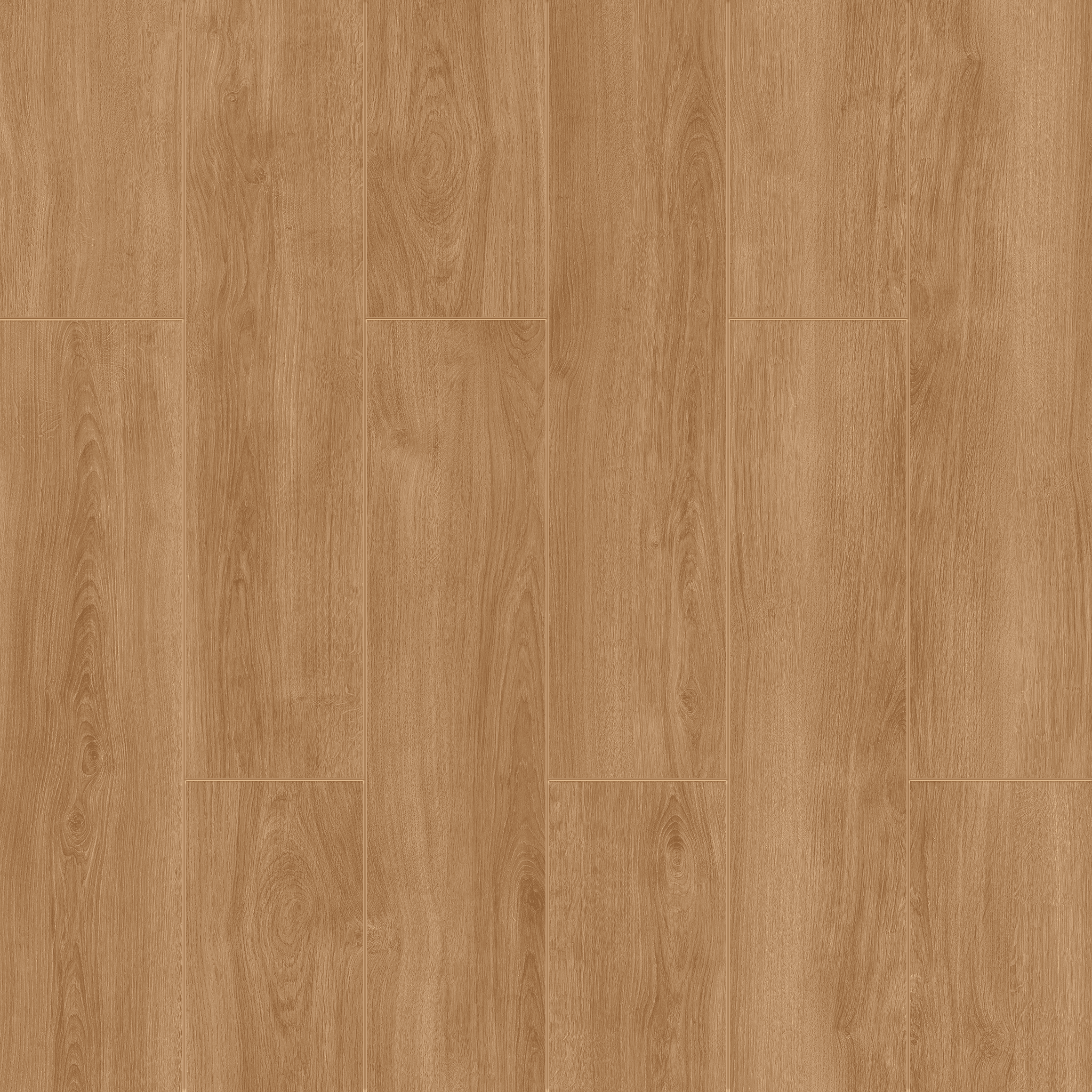 Alaska Oak hover