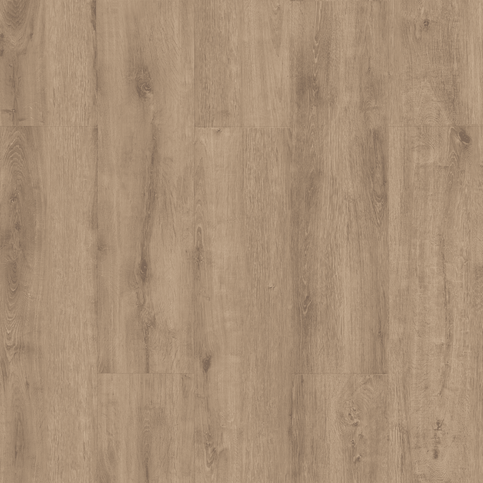 Sakarya Oak hover