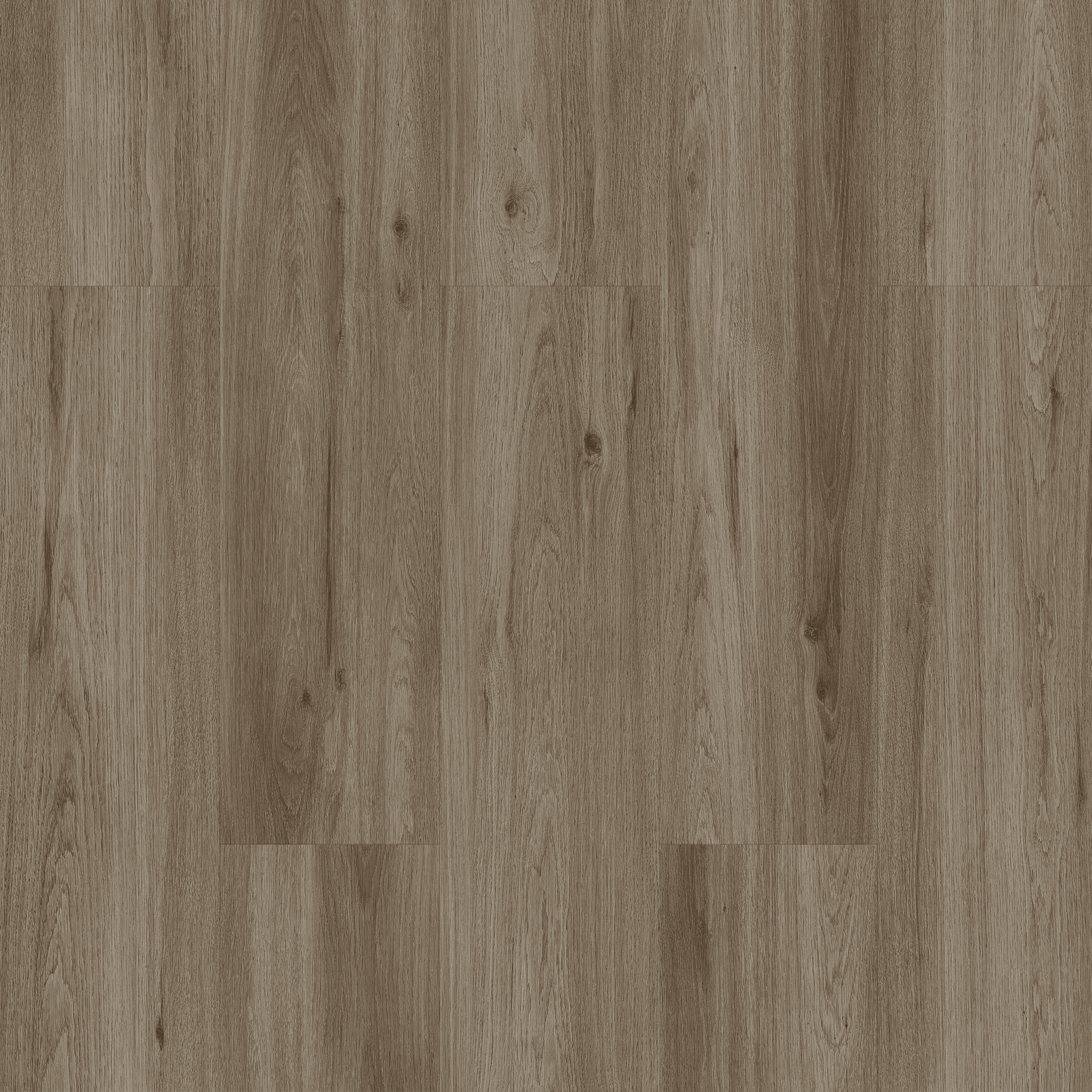 Ilgaz Oak hover